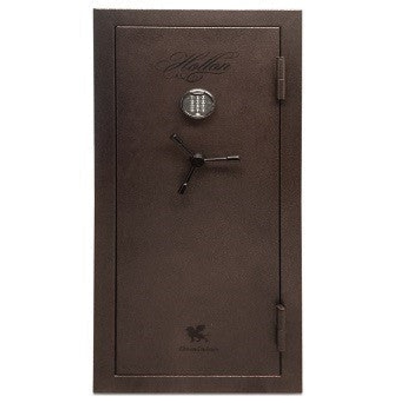 Hollon The Dominion 16 Gun Safe