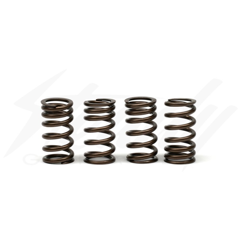 DCR Valve Spring Set for Honda CBR250R CBR300 - Image 2