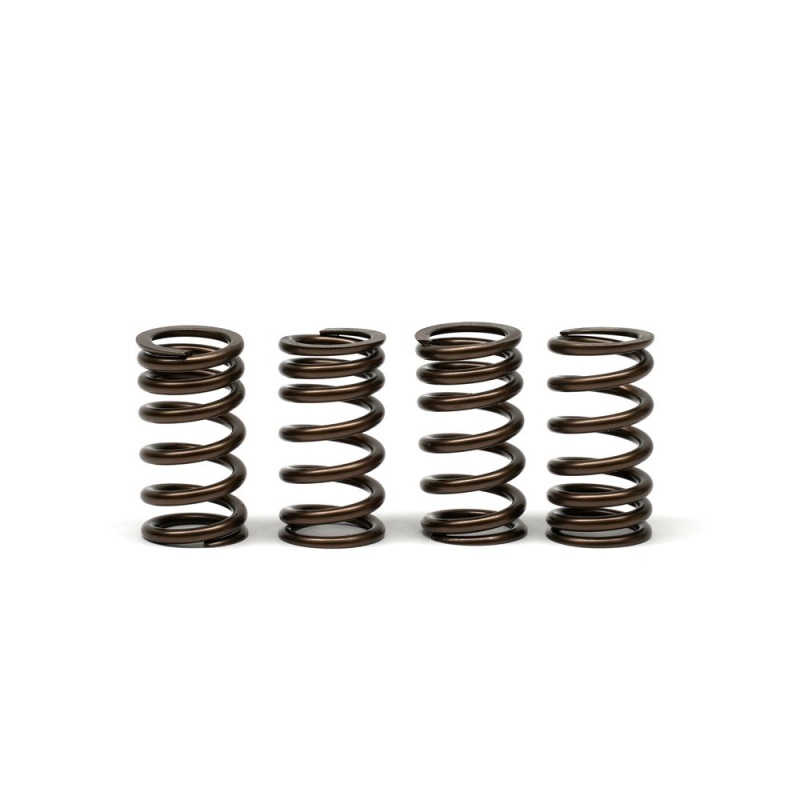 DCR Valve Spring Set for Honda CBR250R CBR300